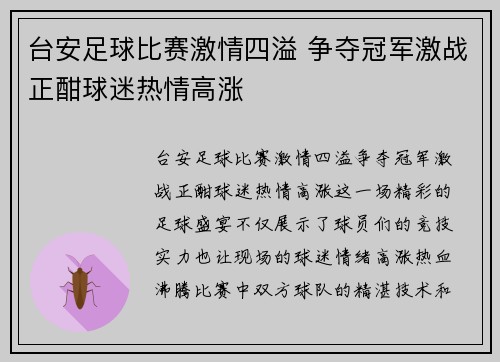 台安足球比赛激情四溢 争夺冠军激战正酣球迷热情高涨