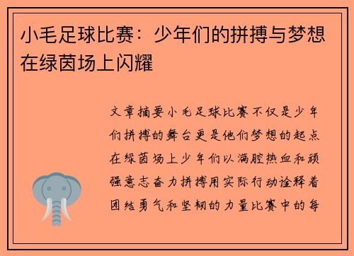 小毛足球比赛：少年们的拼搏与梦想在绿茵场上闪耀