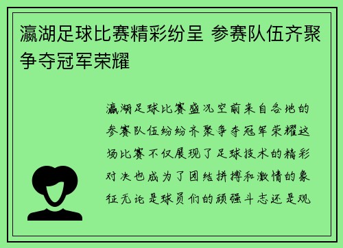 瀛湖足球比赛精彩纷呈 参赛队伍齐聚争夺冠军荣耀